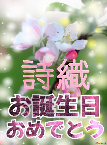 お誕生日 おめでとう 詩織  Flowers Of The Apple-tree Background