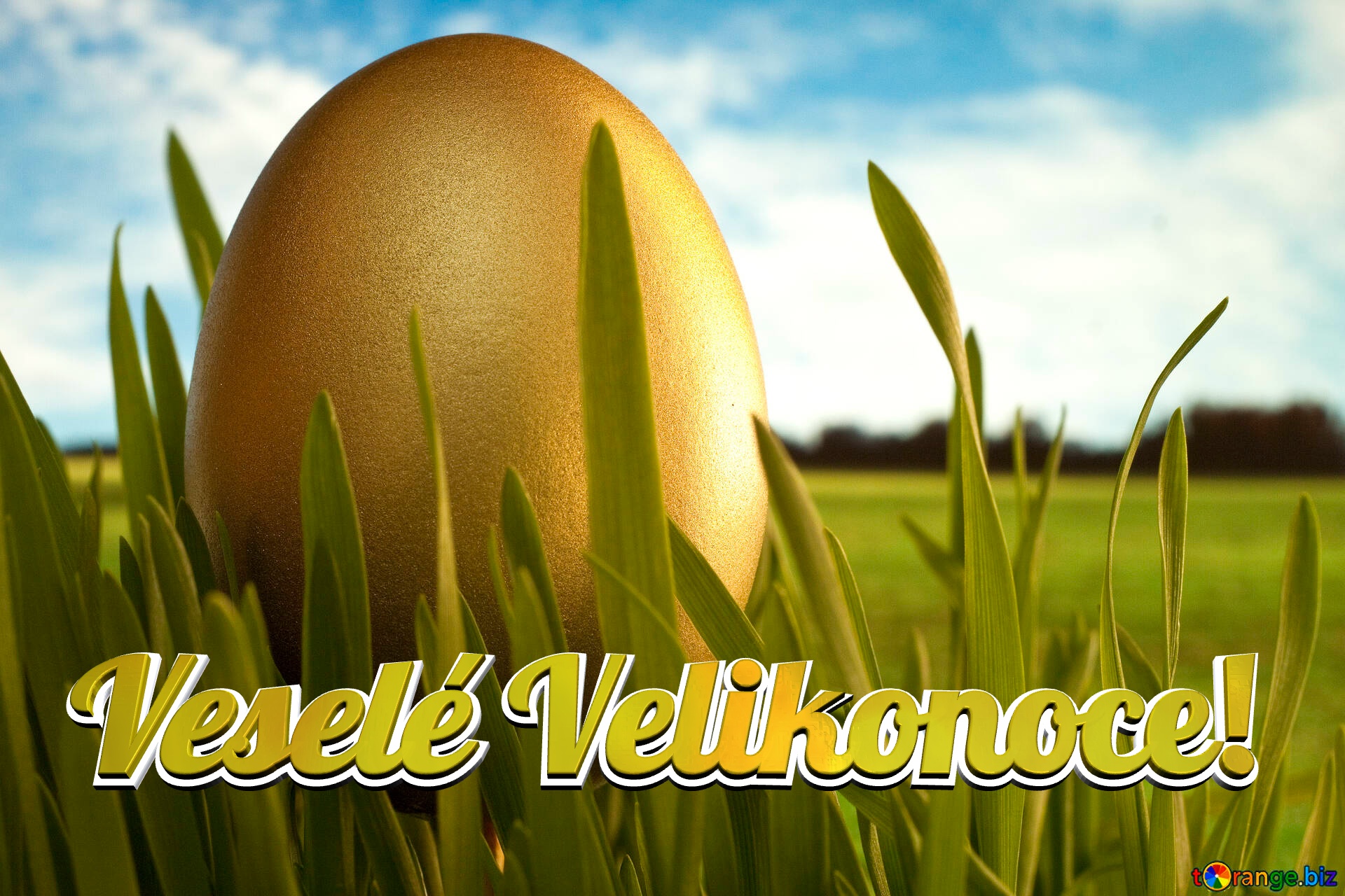 Veselé Velikonoce!  Gold  Egg   grass №8132