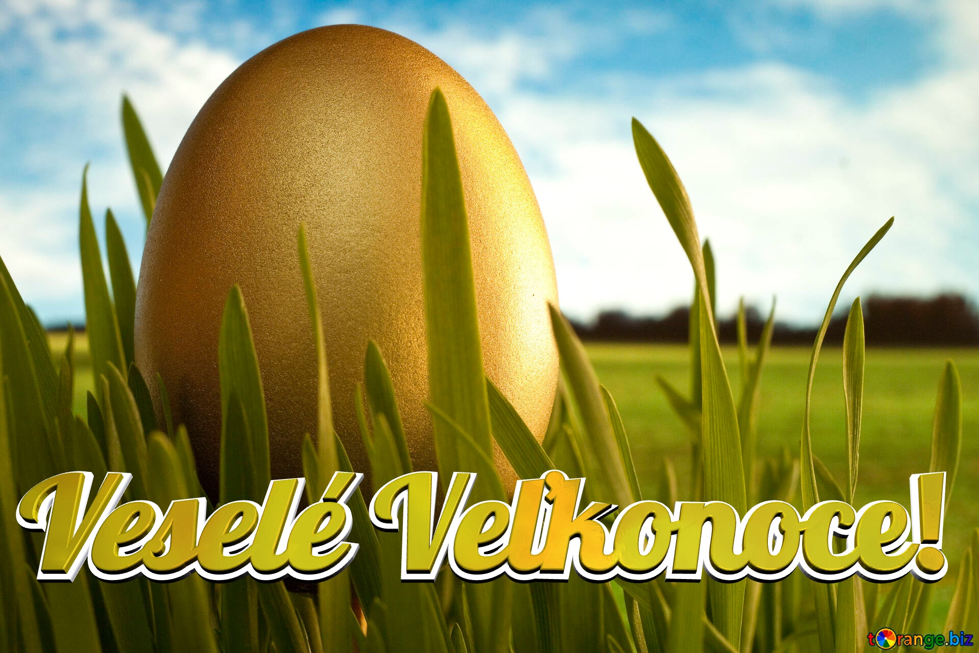 Veselé Veľkonoce!  Gold  Egg   grass №8132