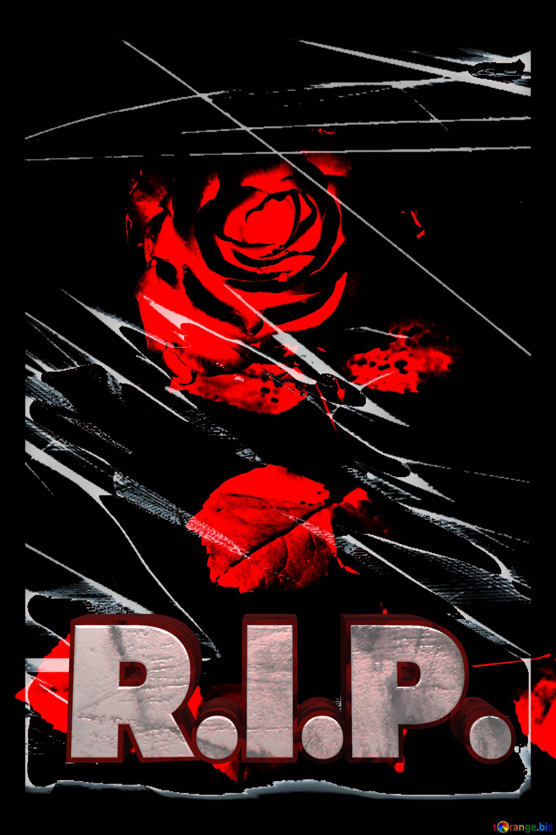 R.I.P.  Tragedy rose flower №0
