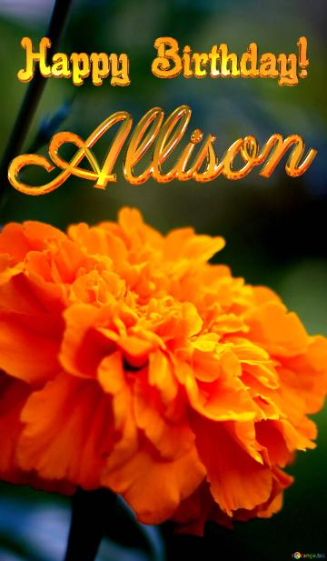 Marigold flower Happy Birthday! Allison