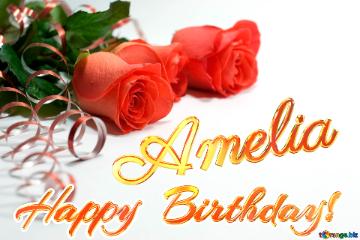   Birthday  Amelia 