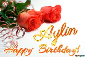 Happy  Birthday! Aylin 