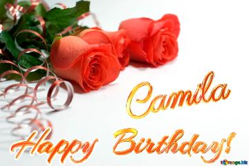 Happy  Birthday! Camila 
