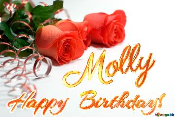   Birthday  Molly  Holiday  Postcard . Rose.