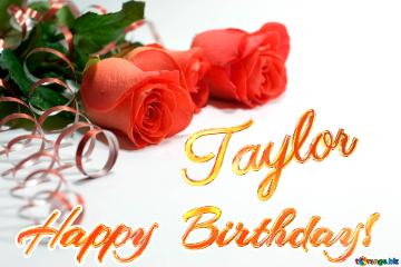   Birthday  Taylor  Holiday  Postcard . Rose.