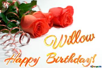   Birthday  Willow 