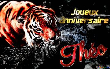 Théo Joyeux  Anniversaire Tiger Wallpaper