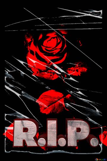 R.i.p.  Tragedy Rose Flower
