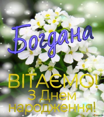  Богдана      З Днем  народження!  Білі квіточки