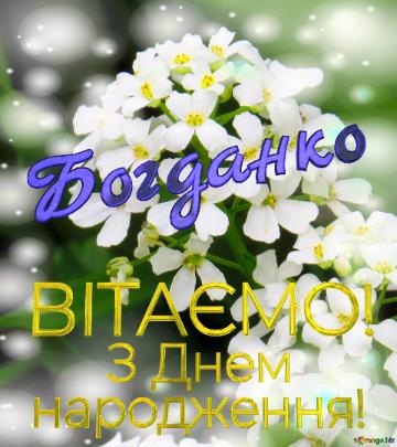  Богданко      З Днем  народження!  Білі квіточки