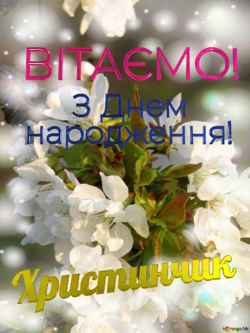  Христинчик      З Днем  народження!  Весна - час квітучої краси білих квітів на деревах.