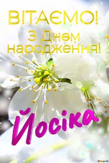  Йосіка      З Днем  народження!  Весна - це пора для...