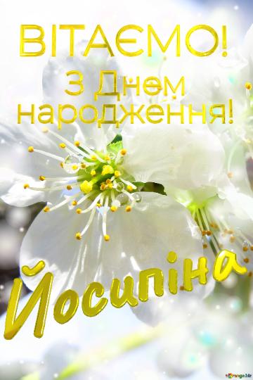  Йосипіна      З Днем  народження!  Весна - це пора для...