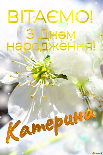  Катерина      З Днем  народження! 