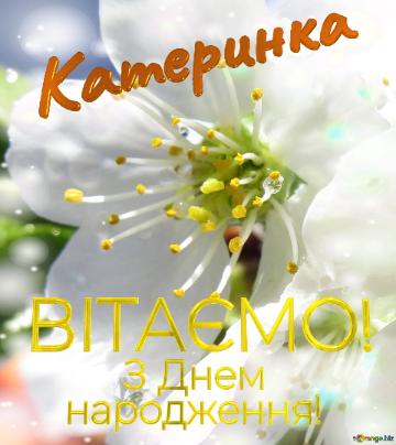  Катеринка      З Днем  народження!  Весна - це пора, коли...