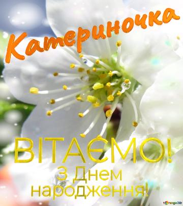  Катериночка      З Днем  народження! 