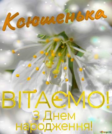  Ксюшенька      З Днем  народження!  Весна - це пора для...