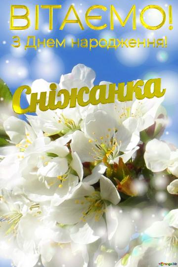  Сніжанка З Днем народження!  Білі квіти на дереві...