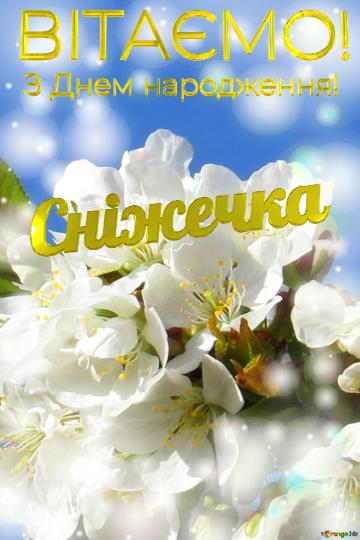  Сніжечка З Днем народження!  Білі квіти на дереві...