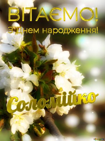  Соломійко З Днем народження! 