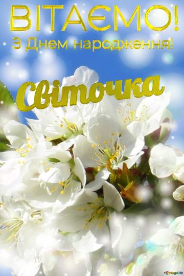  Світочка З Днем народження!  Білі квіти на дереві весною - це як символичний подарунок природи, що надає нам силу та впевненість для розвитку наших відносин і любові.