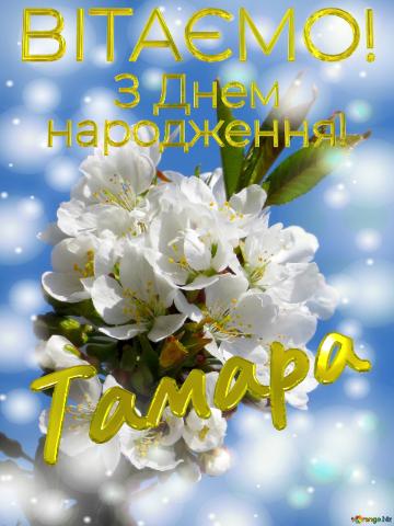  Тамара      З Днем  народження!  Білі квіти на дереві...