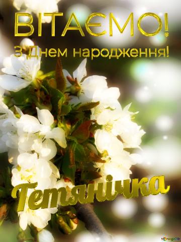  Тетянічка З Днем народження! 