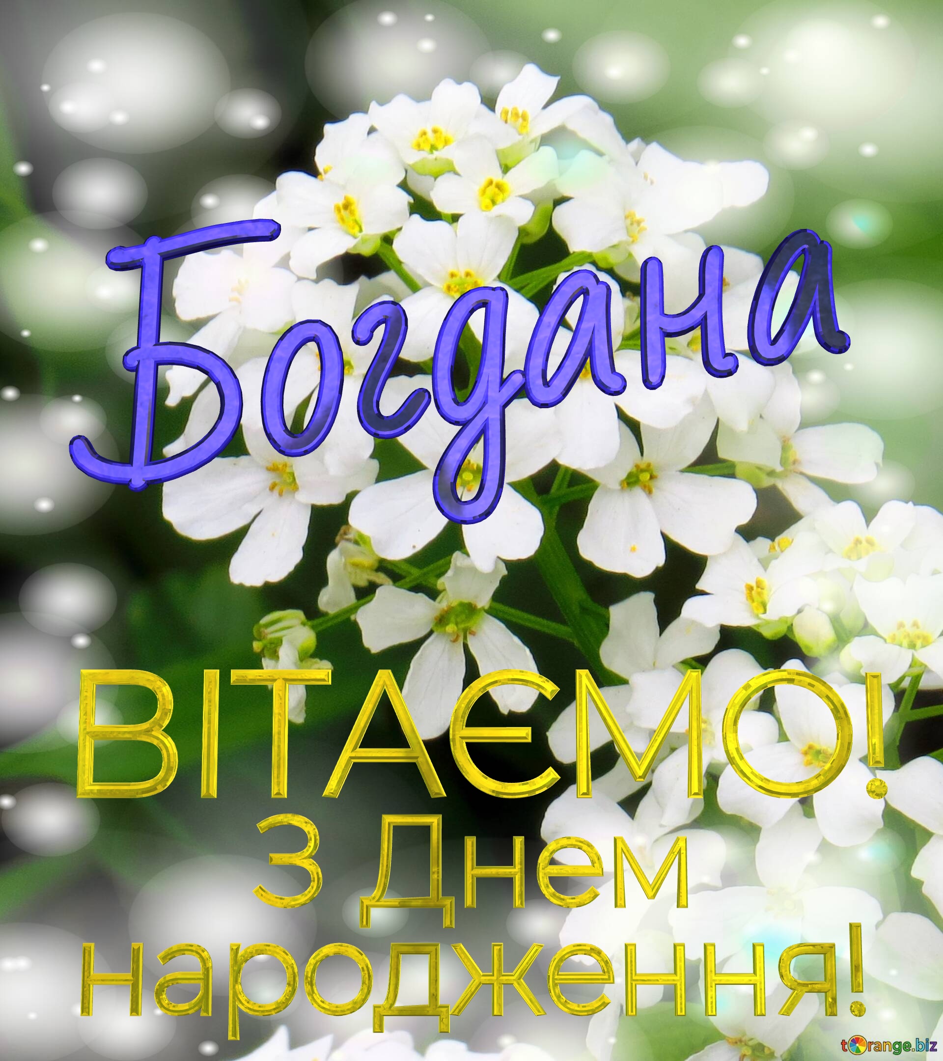 Открытки с Днём Рождения для Богдана
