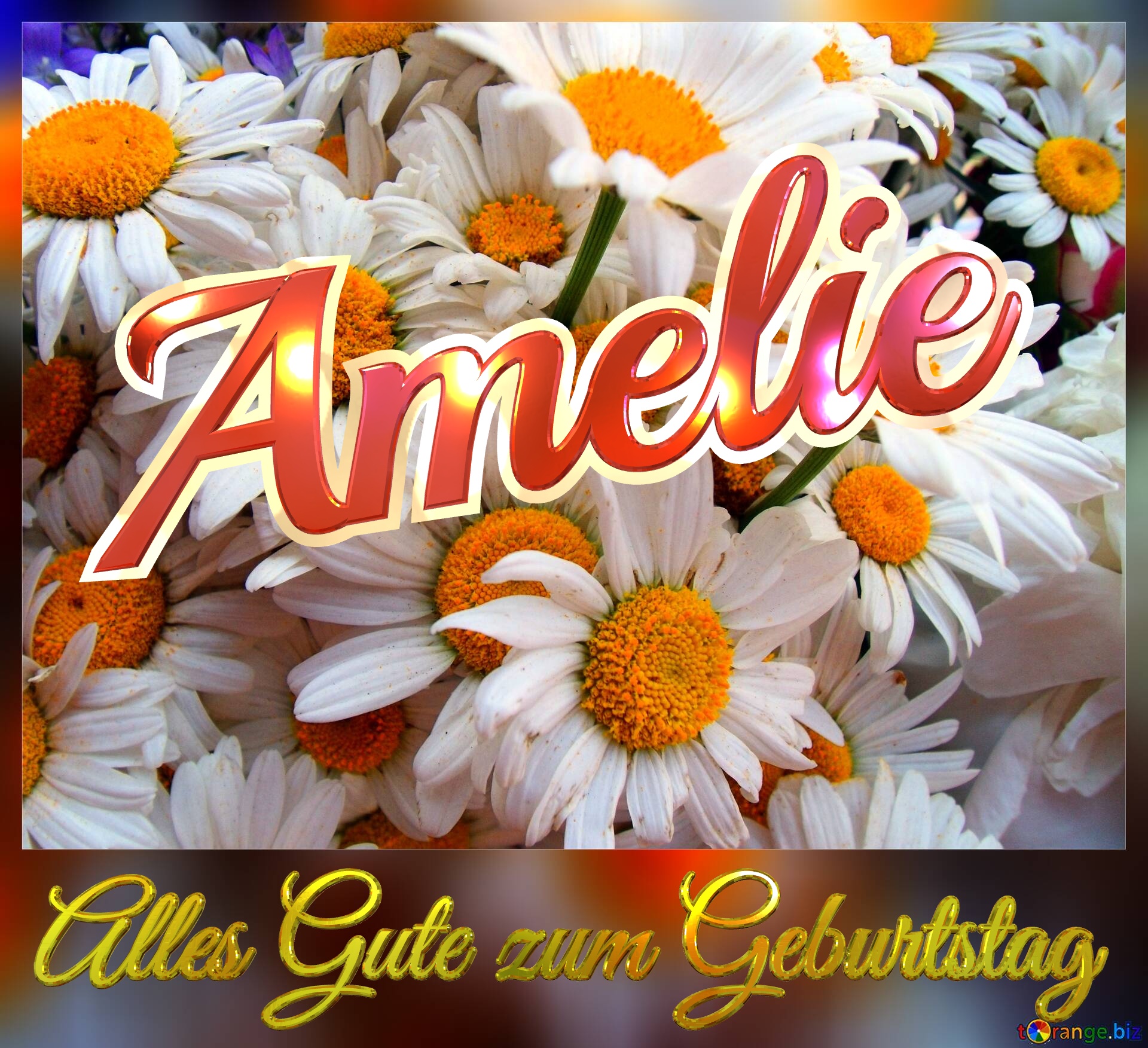 Alles Gute zum Geburtstag Amelie  Das ist ein Gänseblümchen. №0