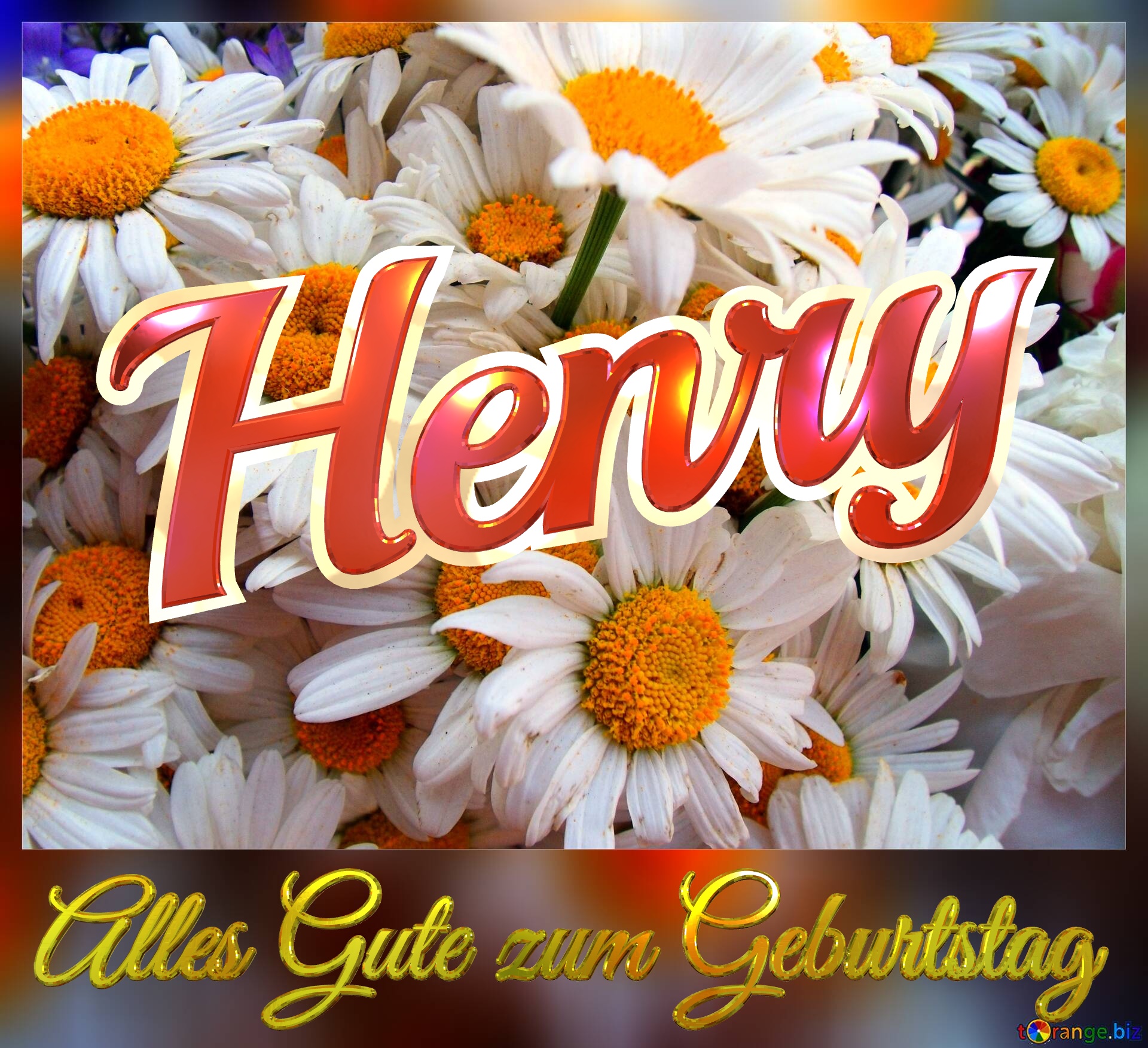 Alles Gute zum Geburtstag Henry  Das ist ein Gänseblümchen. №0