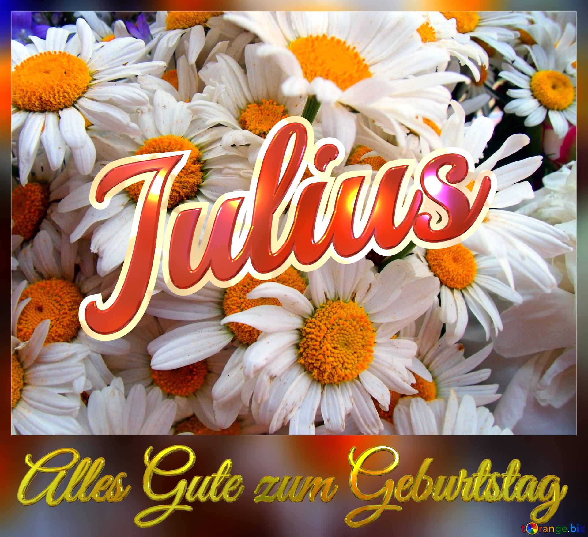 Alles Gute zum Geburtstag Julius  Das ist ein Gänseblümchen. №0