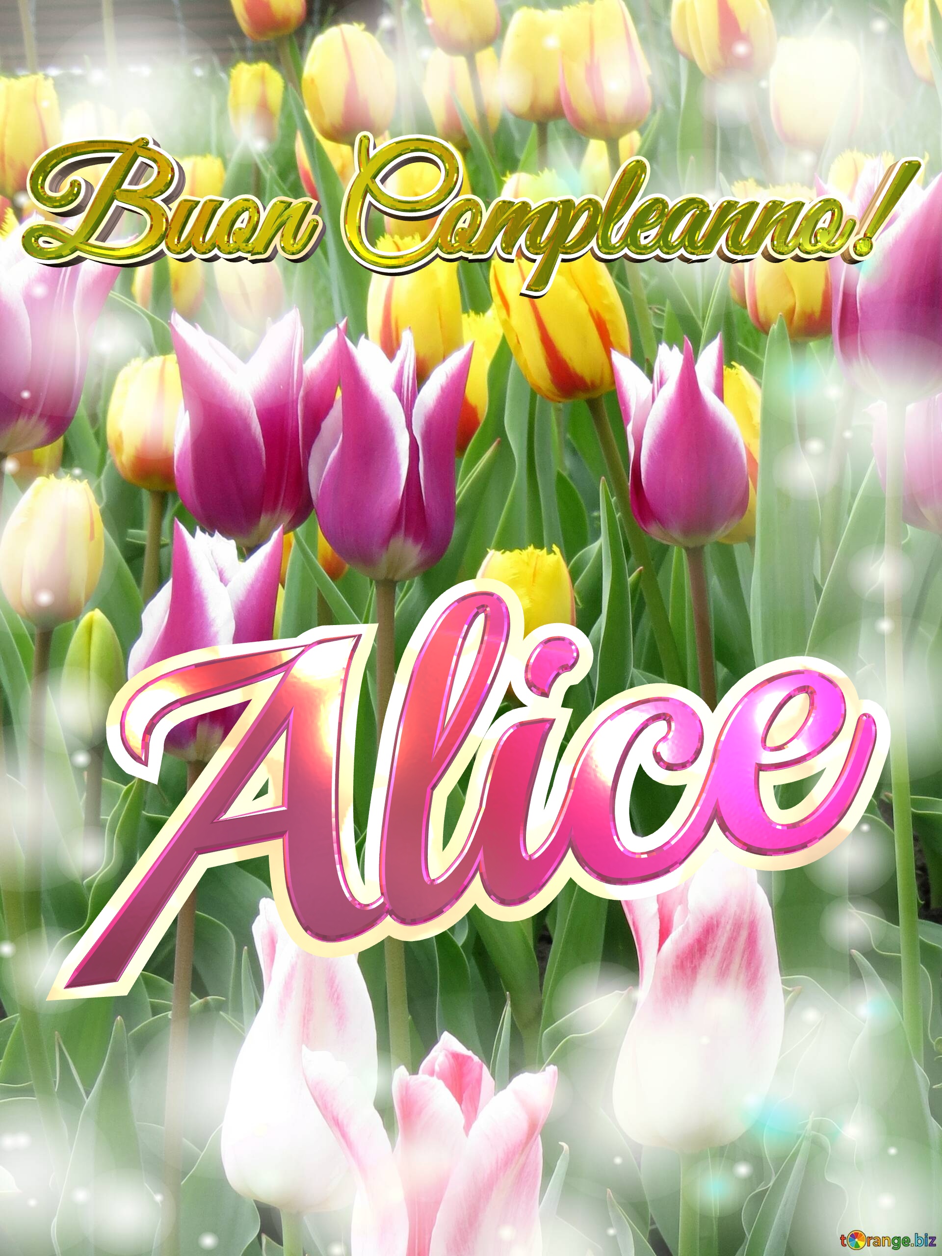 Buon Compleanno! Alice  Questi tulipani ti portano la bellezza della primavera e la gioia della vita, goditi ogni momento. №0
