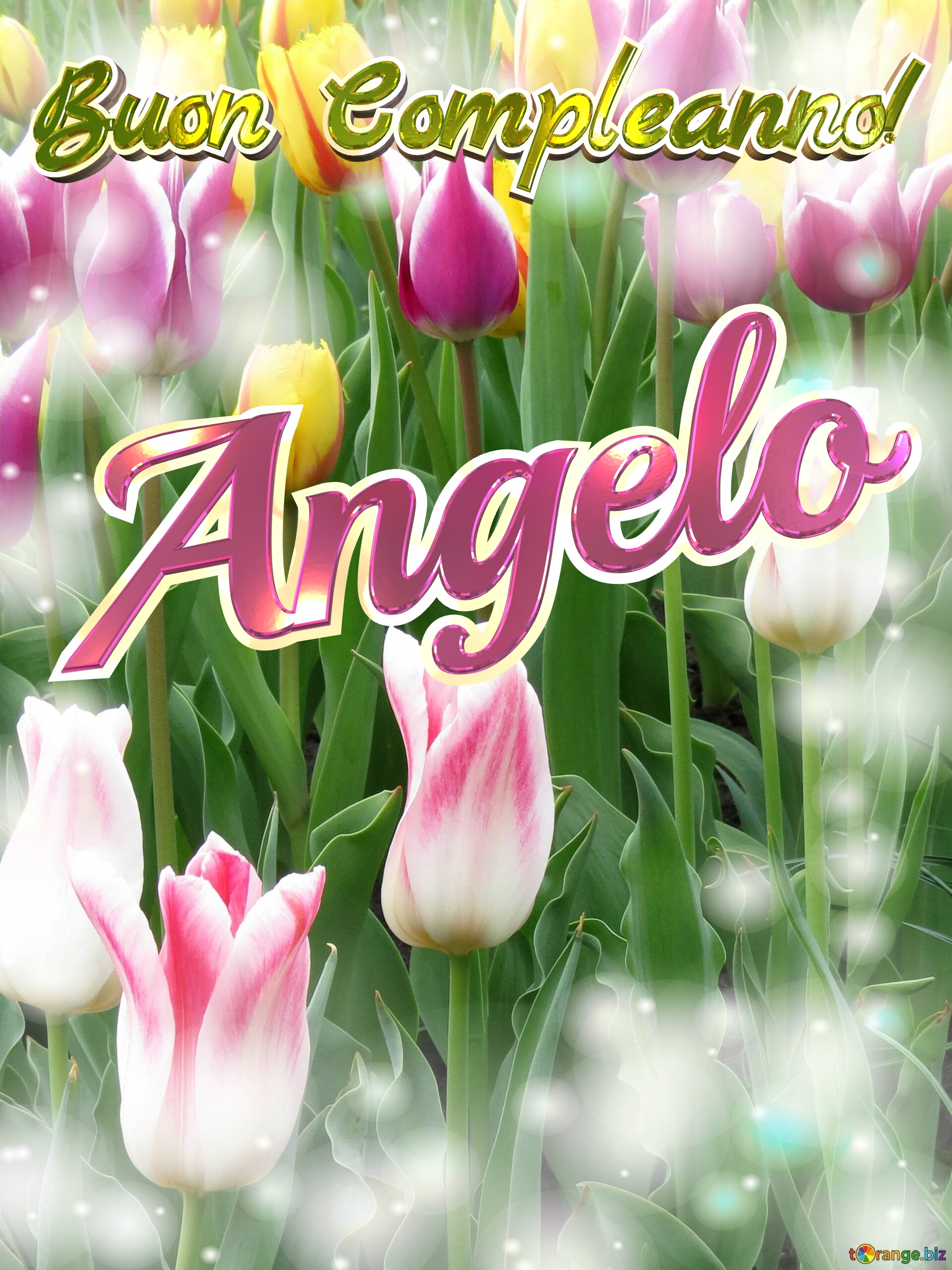 Buon Compleanno! Angelo  Che questi tulipani ti portino la pace e la tranquillità che stai cercando nella tua vita. №0