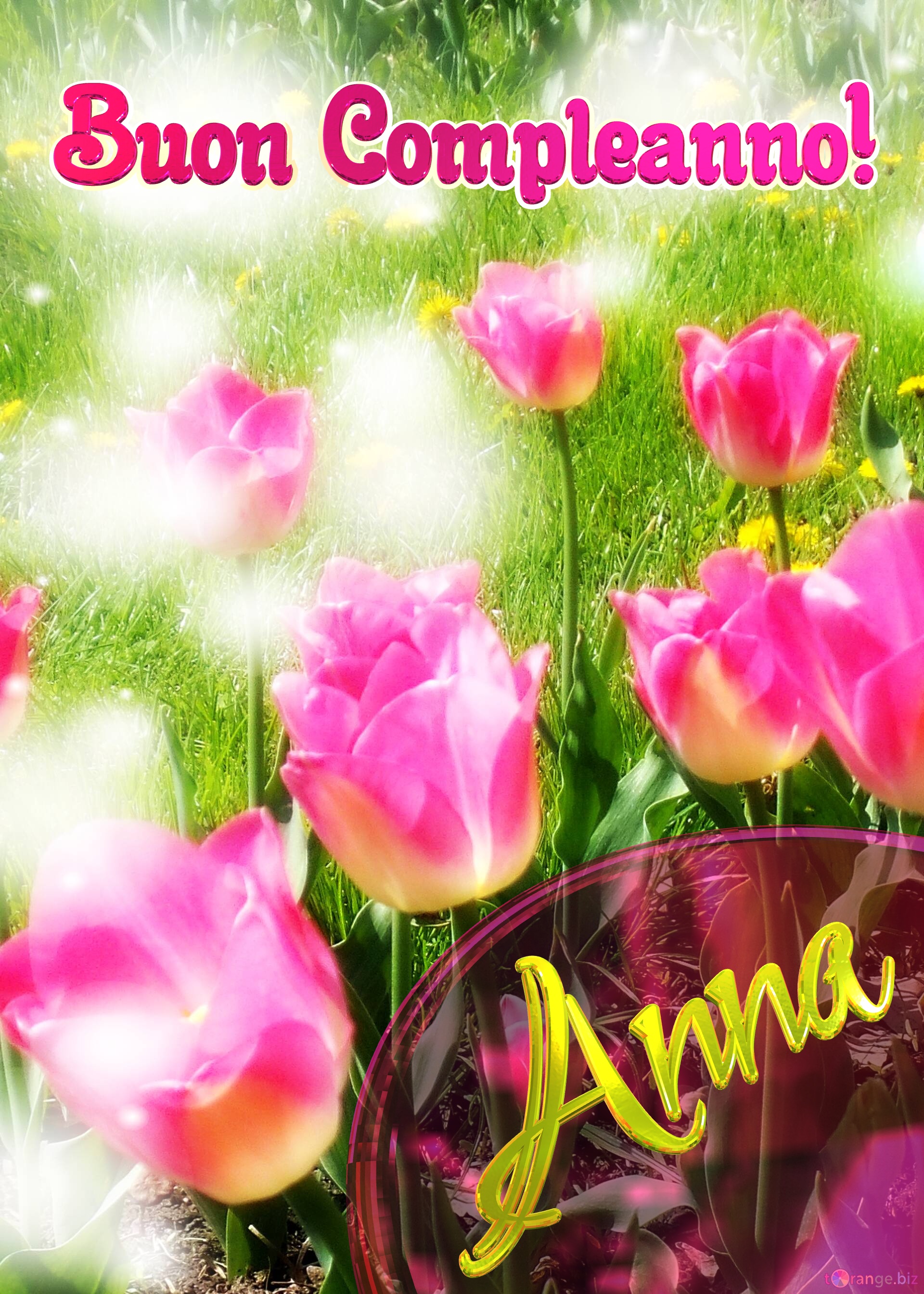 Buon Compleanno! Anna   Il tulipano è un simbolo di sincerità, auguri per una vita sincera e vera. №0