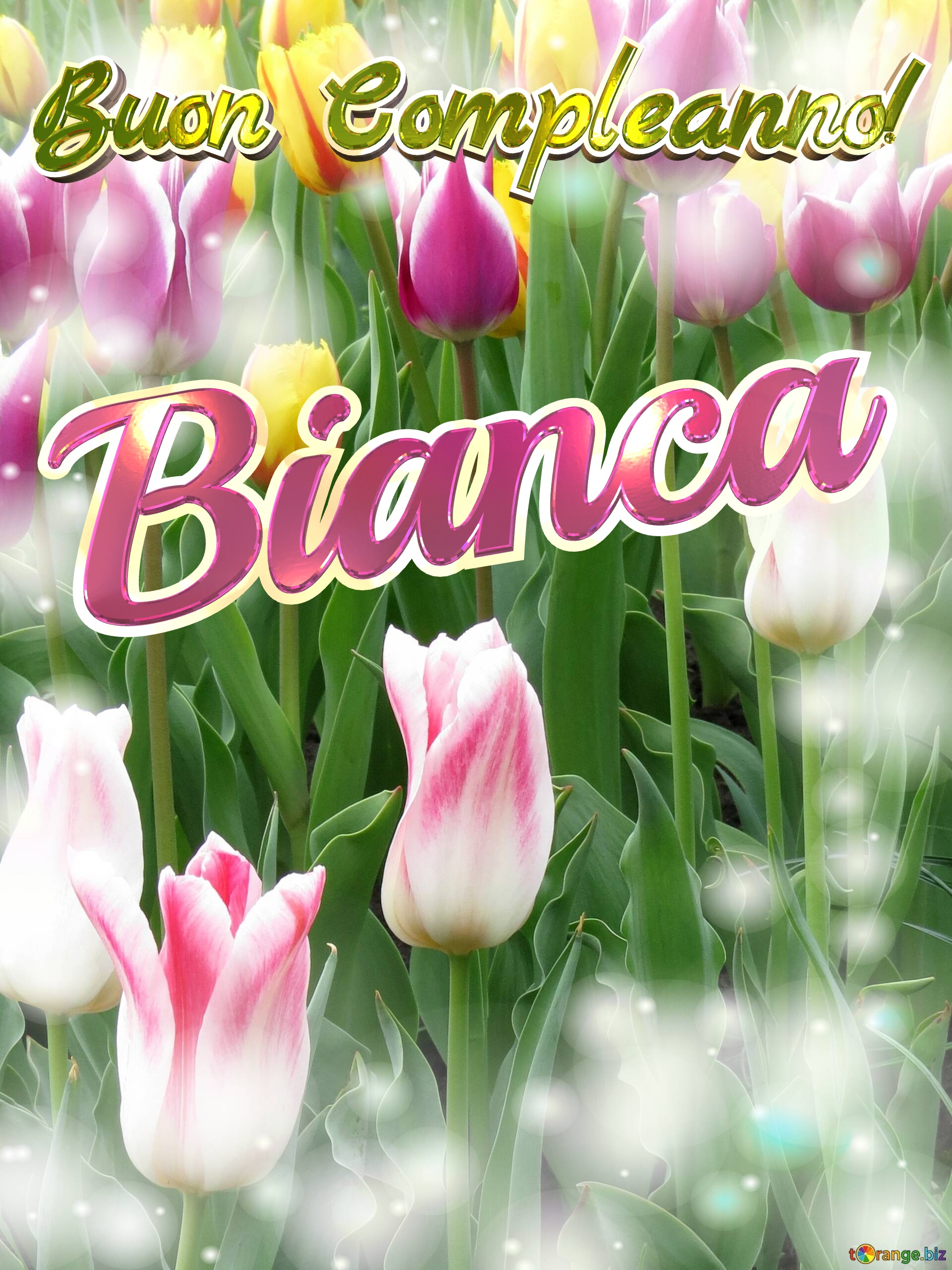 Buon Compleanno! Bianca  Che questi tulipani ti portino la pace e la tranquillità che stai cercando nella tua vita. №0