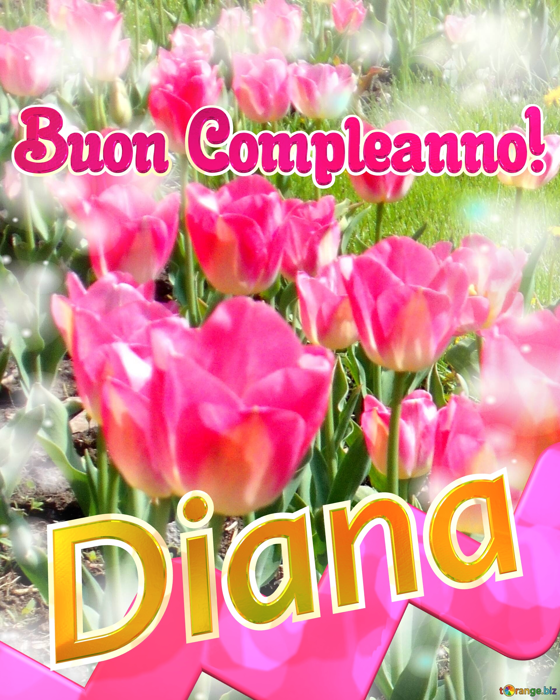 Buon Compleanno! Diana   Buona primavera, che questi tulipani ti portino la freschezza e la vitalità della stagione. №0