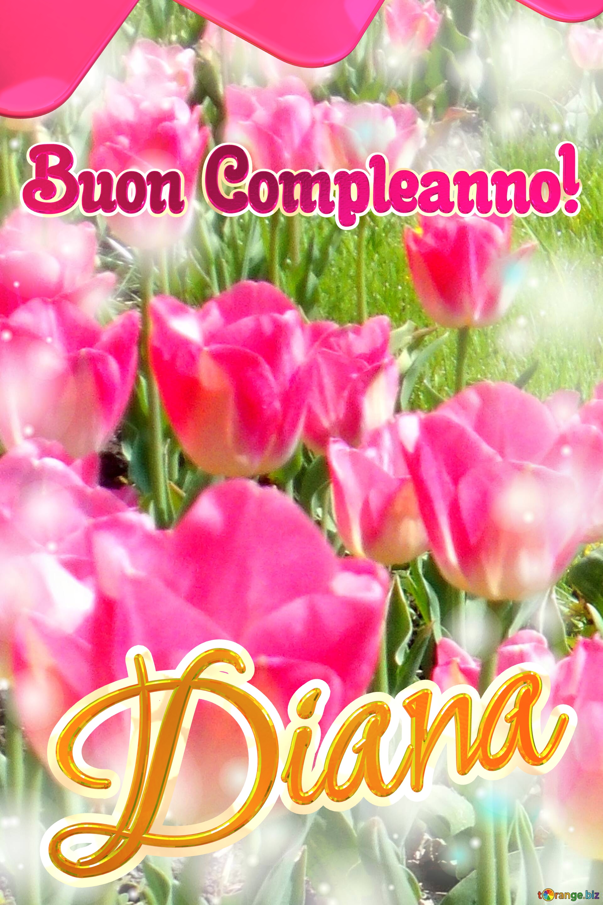 Buon Compleanno! Diana   Questi tulipani ti portano la sincerità e la verità nel tuo cuore, auguri per una vita autentica. №0