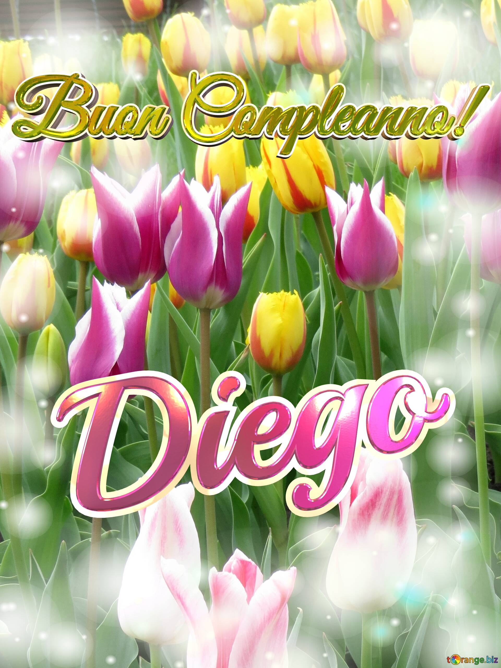 Buon Compleanno! Diego  Questi tulipani ti portano la bellezza della primavera e la gioia della vita, goditi ogni momento. №0