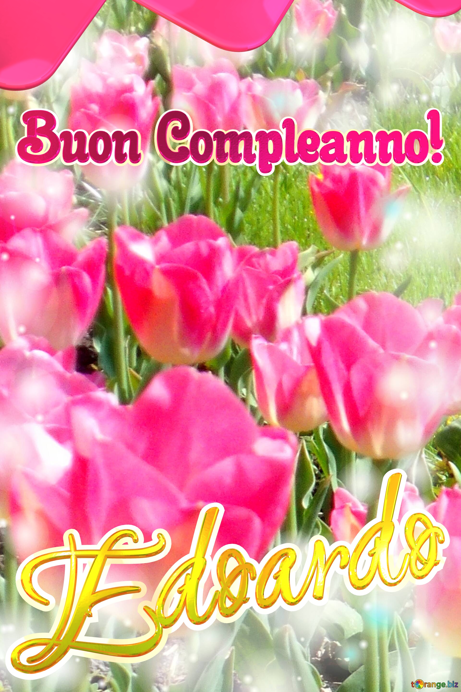 Buon Compleanno! Edoardo   Questi tulipani ti portano la sincerità e la verità nel tuo cuore, auguri per una vita autentica. №0
