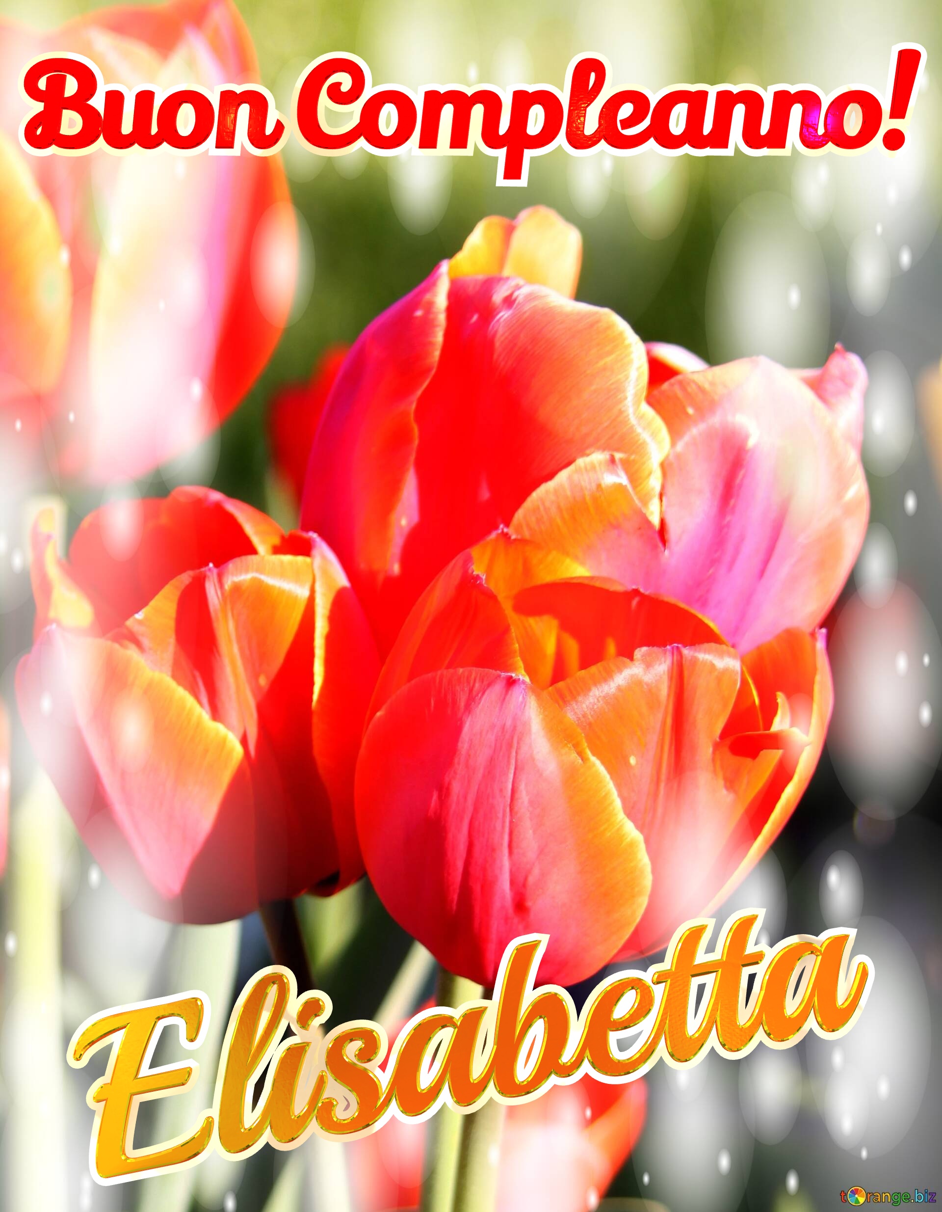Buon Compleanno! Elisabetta  Questi tulipani ti portano la bellezza della natura e la bellezza della vita, goditi ogni istante. №0
