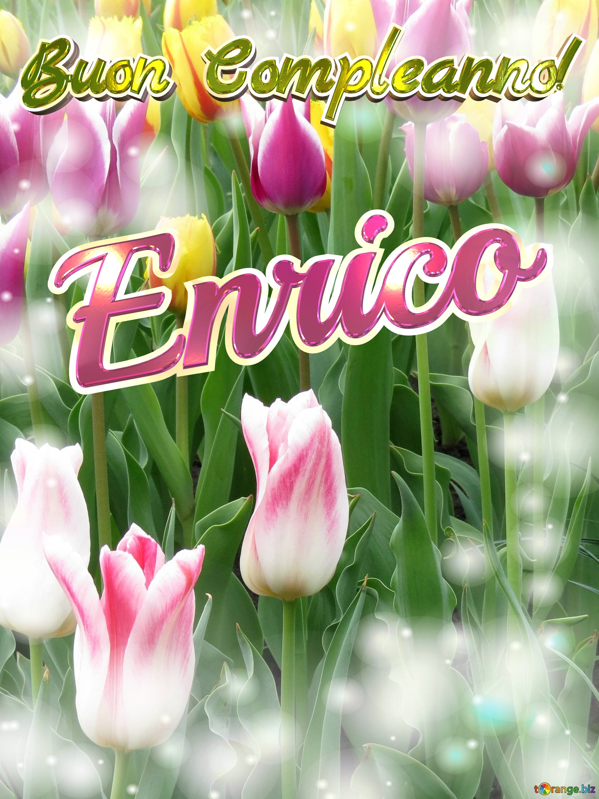 Buon Compleanno! Enrico  Che questi tulipani ti portino la pace e la tranquillità che stai cercando nella tua vita. №0