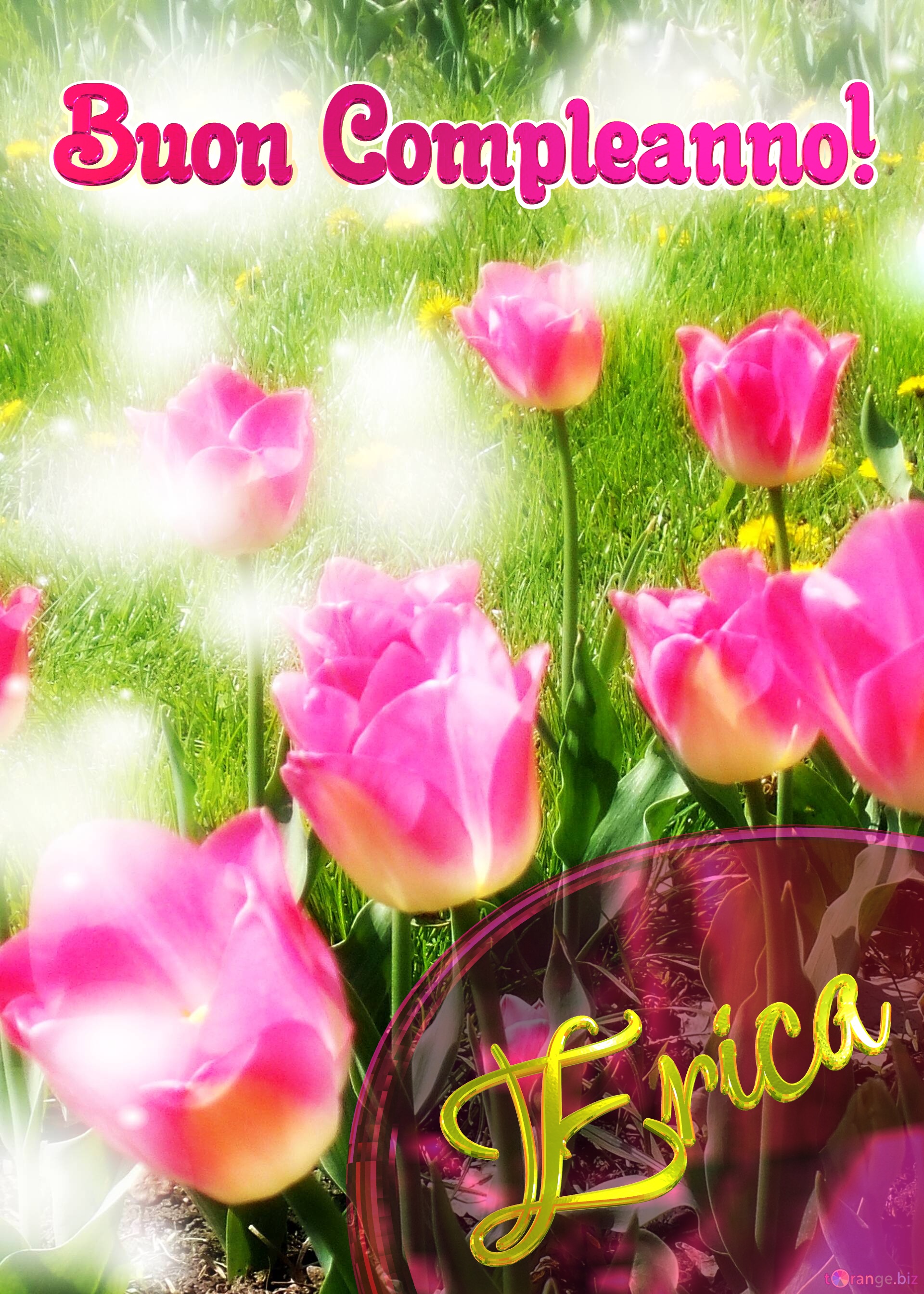Buon Compleanno! Erica   Il tulipano è un simbolo di sincerità, auguri per una vita sincera e vera. №0