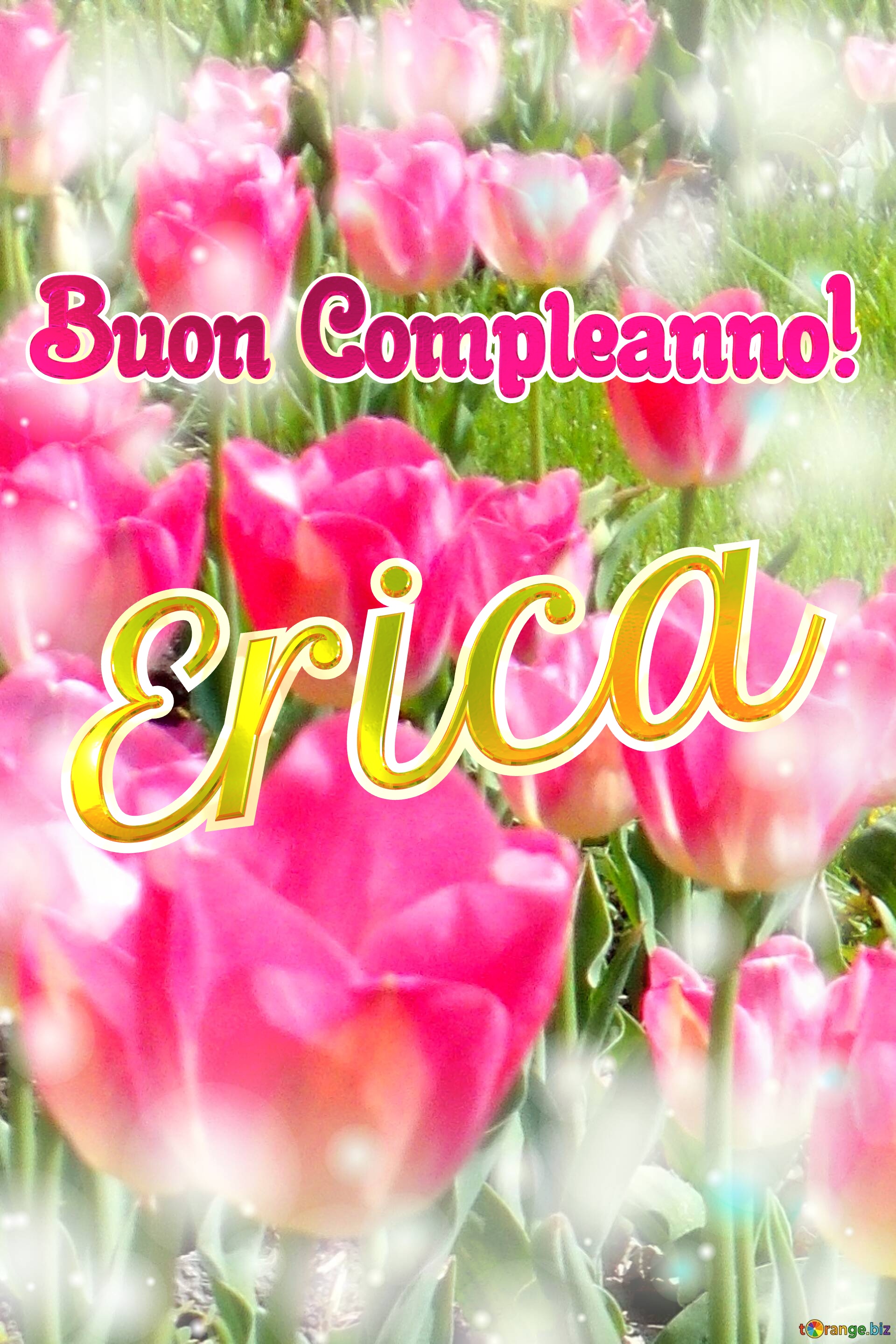 Buon Compleanno! Erica  La bellezza dei tulipani è un richiamo alla speranza, auguri per una vita piena di speranza. №0