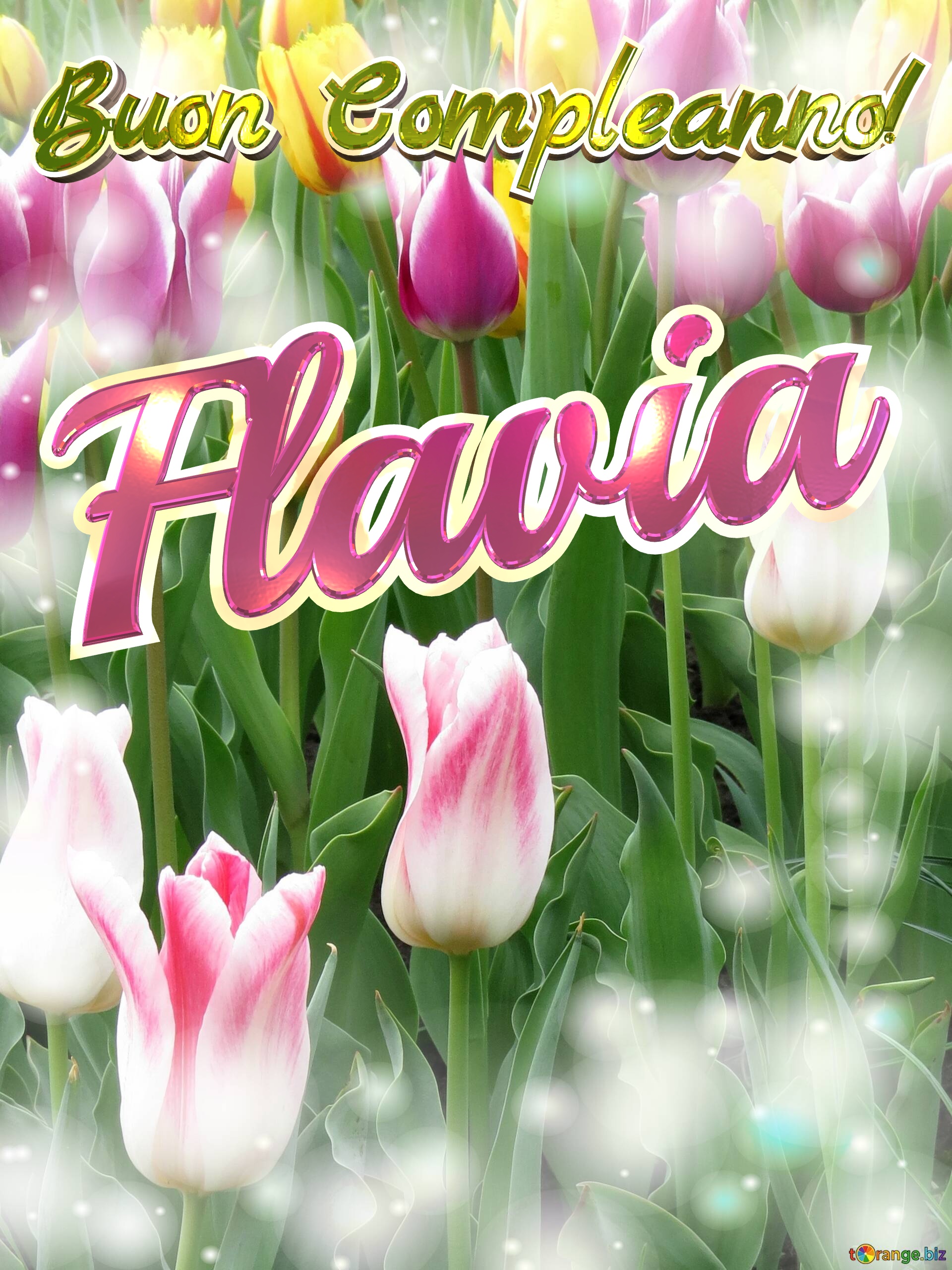 Buon Compleanno! Flavia  Che questi tulipani ti portino la pace e la tranquillità che stai cercando nella tua vita. №0