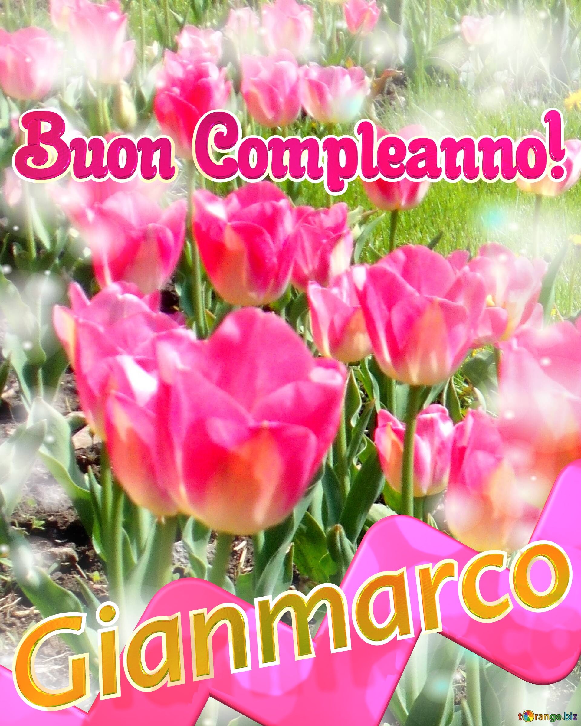 Buon Compleanno! Gianmarco   Buona primavera, che questi tulipani ti portino la freschezza e la vitalità della stagione. №0