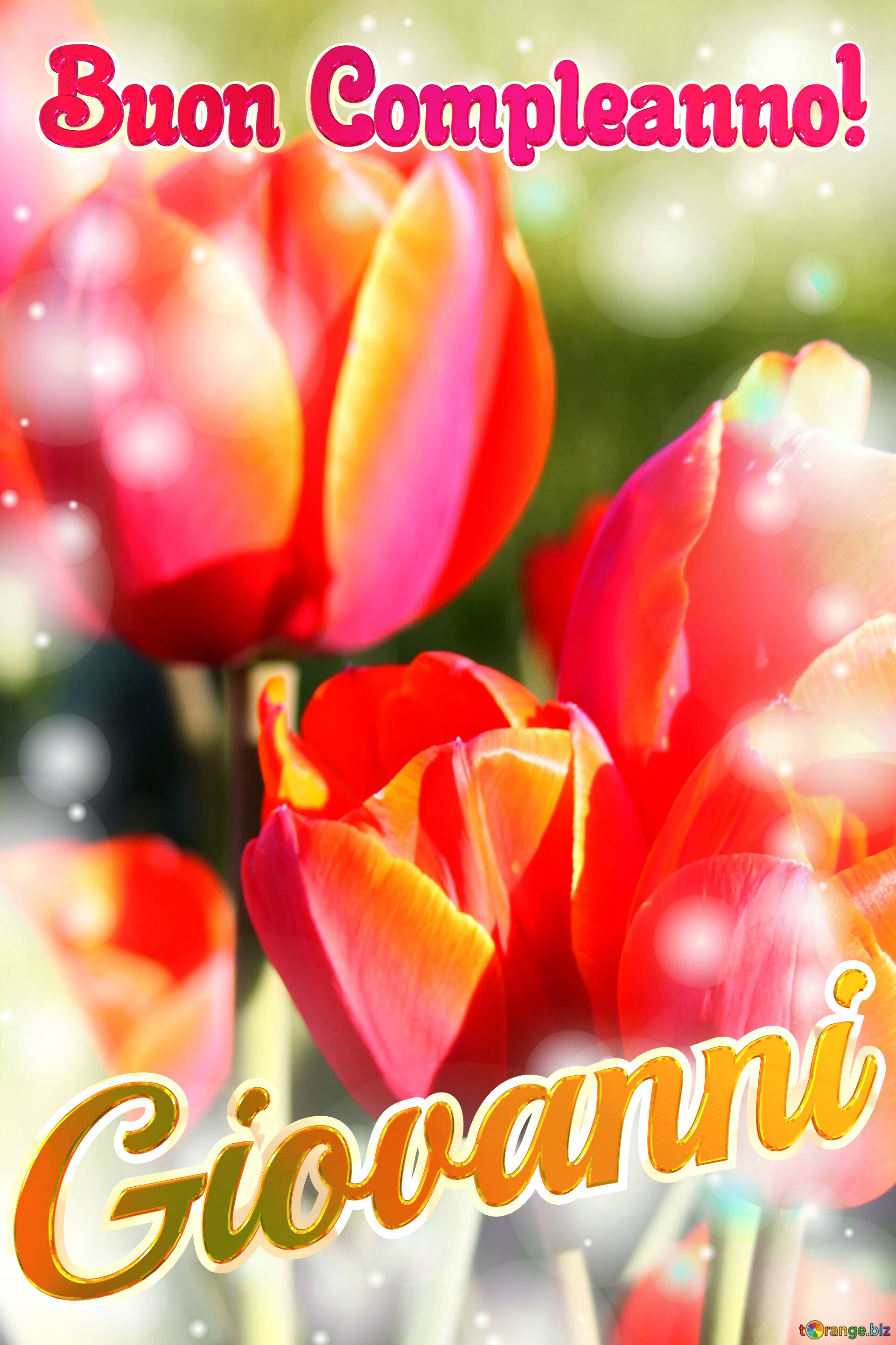 Buon Compleanno! Giovanni  Che questi tulipani ti portino la pace e la serenità che stai cercando nella tua vita. №0