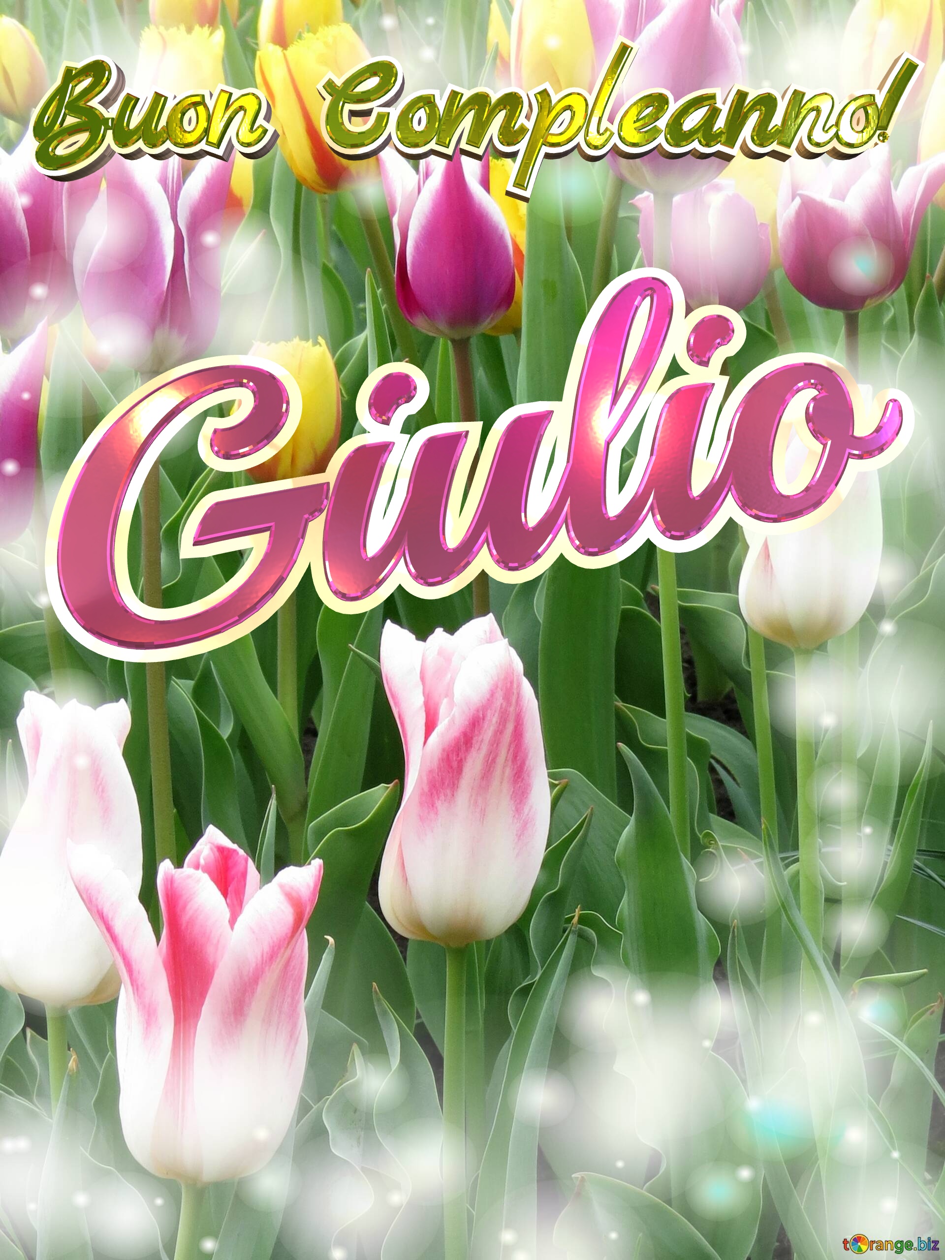 Buon Compleanno! Giulio  Che questi tulipani ti portino la pace e la tranquillità che stai cercando nella tua vita. №0