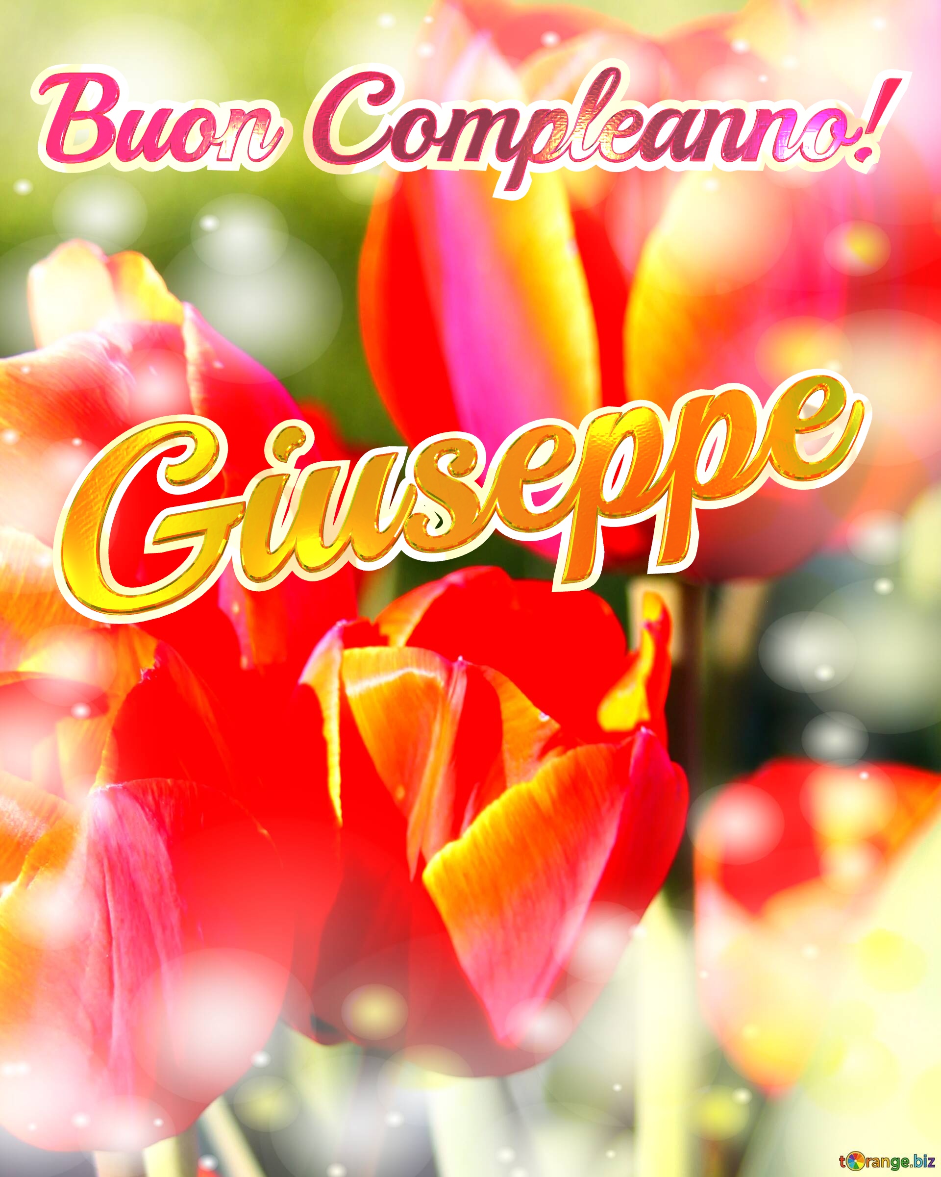 Buon Compleanno! Giuseppe  La bellezza dei tulipani è un richiamo alla bellezza della vita, auguri per una vita piena di bellezza e soddisfazione. №0