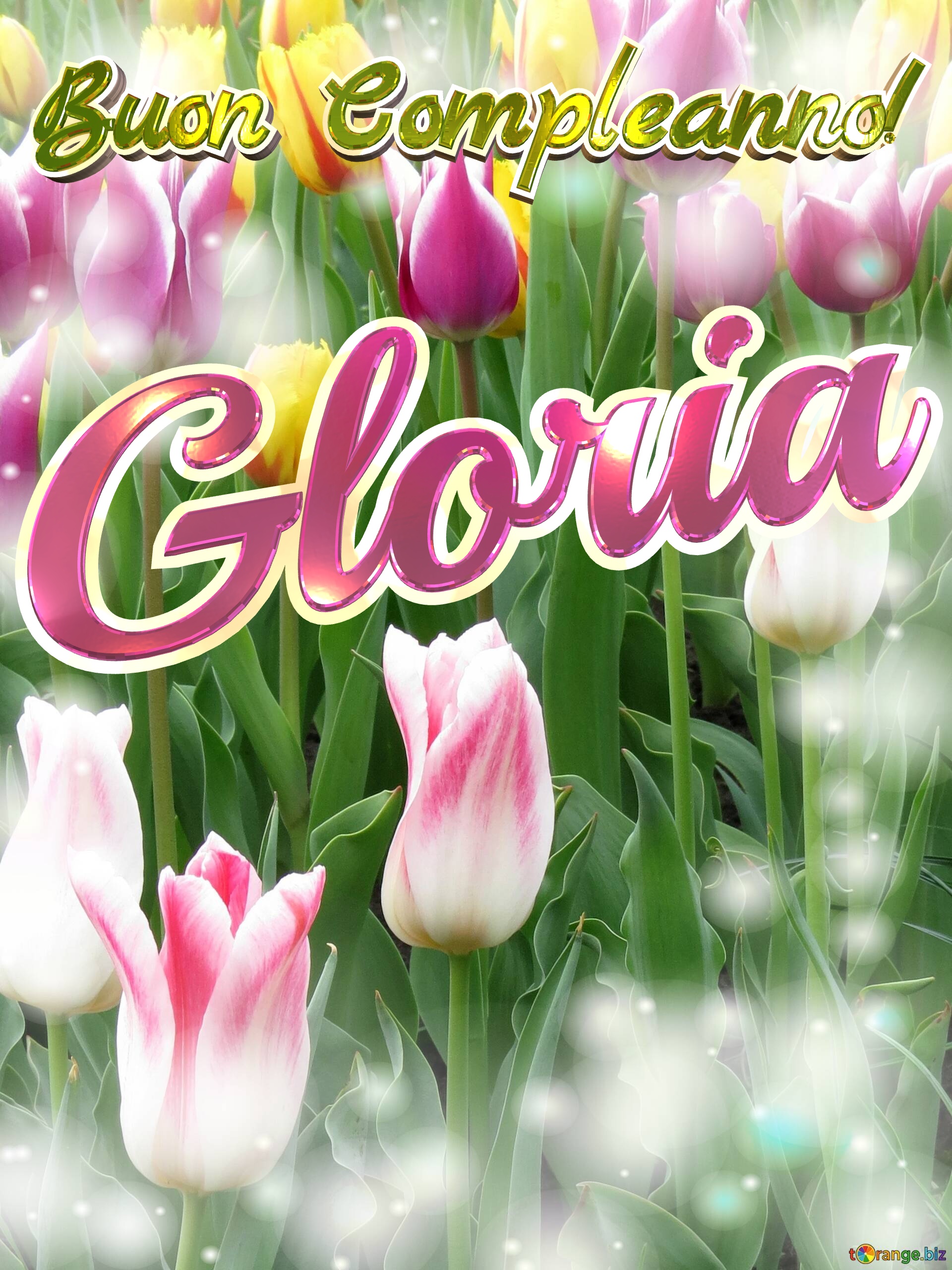 Buon Compleanno! Gloria  Che questi tulipani ti portino la pace e la tranquillità che stai cercando nella tua vita. №0